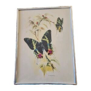 VTG 70s Butterfly Watercolor Lithograph B Ballestar Print Marsel Mirror 16 x 11"